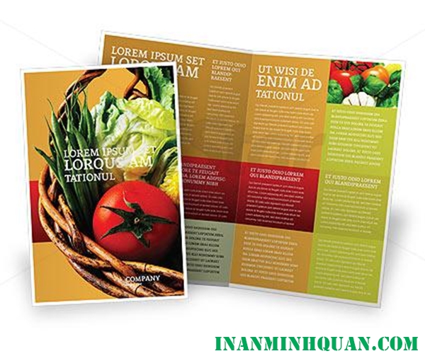 Thiết kế Brochure thực phẩm chuyên nghiệp hiện đại dành cho doanh nghiệp tại TP. HCM 2014 - 2015 phần 2
