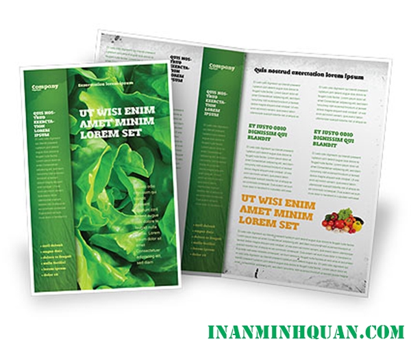 Thiết kế Brochure thực phẩm chuyên nghiệp hiện đại dành cho doanh nghiệp tại TP. HCM 2014 - 2015 phần 4